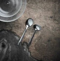 Aida RAW serveringsbestik i rustfrit stål kartoffel- og sauceske