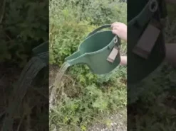 Beetle Vandkande Grøn 1,5L