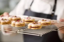 Blomsterbergs Afkølingsrist foldbar
