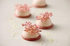 Blomsterbergs Gren Tuileform Latte
