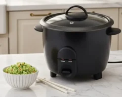 Conzept Riskoger med steamer 2,8L 1000W sort
