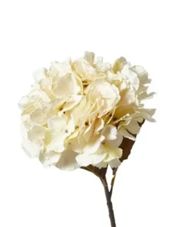 Da'core Hortensia stilk 49cm creme