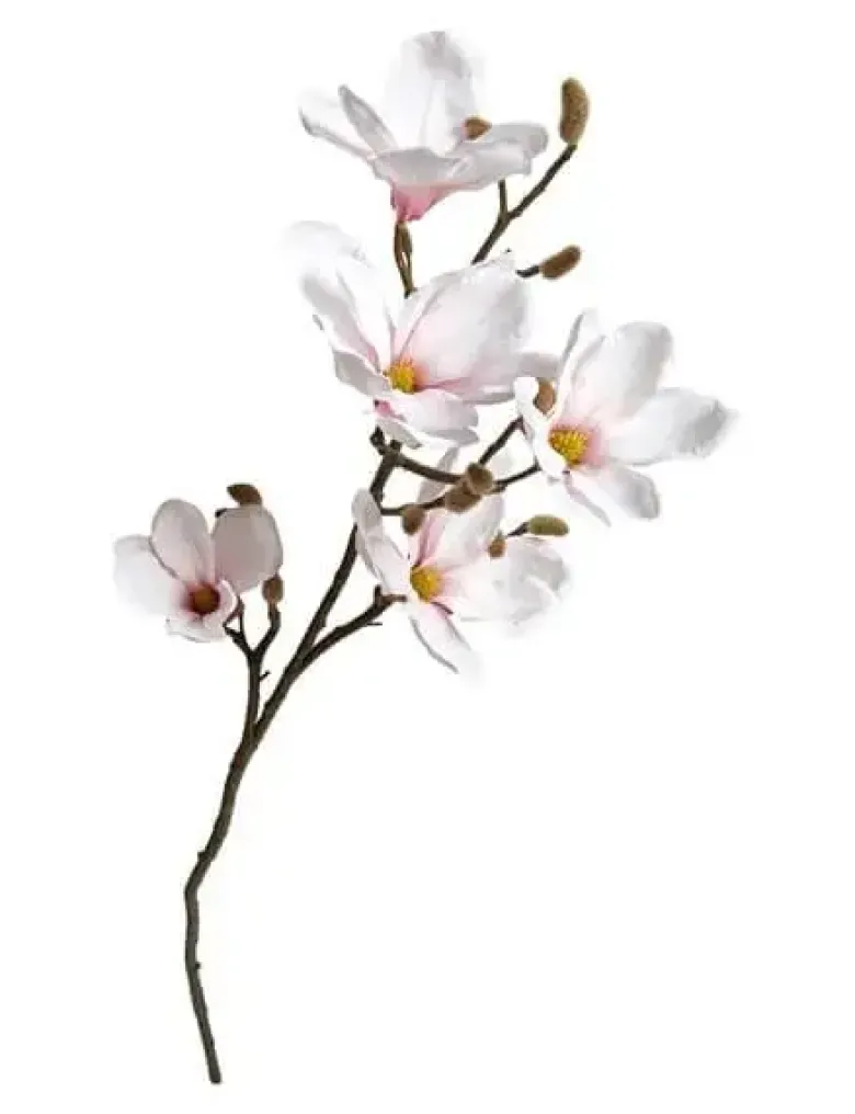 Da'core Magnolia gren 52cm pink