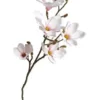 Da'core Magnolia gren 92cm pink