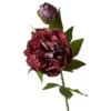 Da'core Pæon stilk 69cm bordeaux