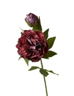 Da'core Pæon stilk 69cm bordeaux