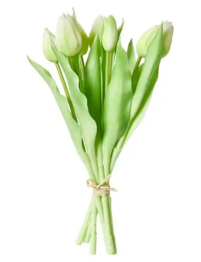 Da'core Tulipaner 7 stk. Hvid