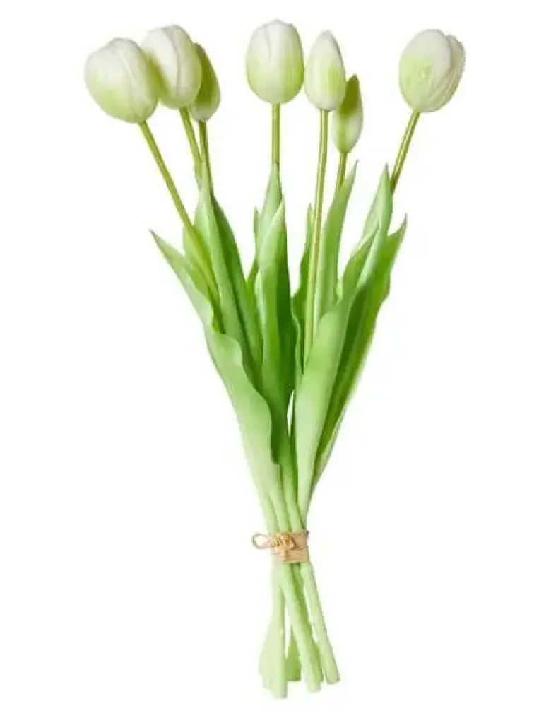 Da'core Tulipaner 7 stk. i potte 39 cm. hvid