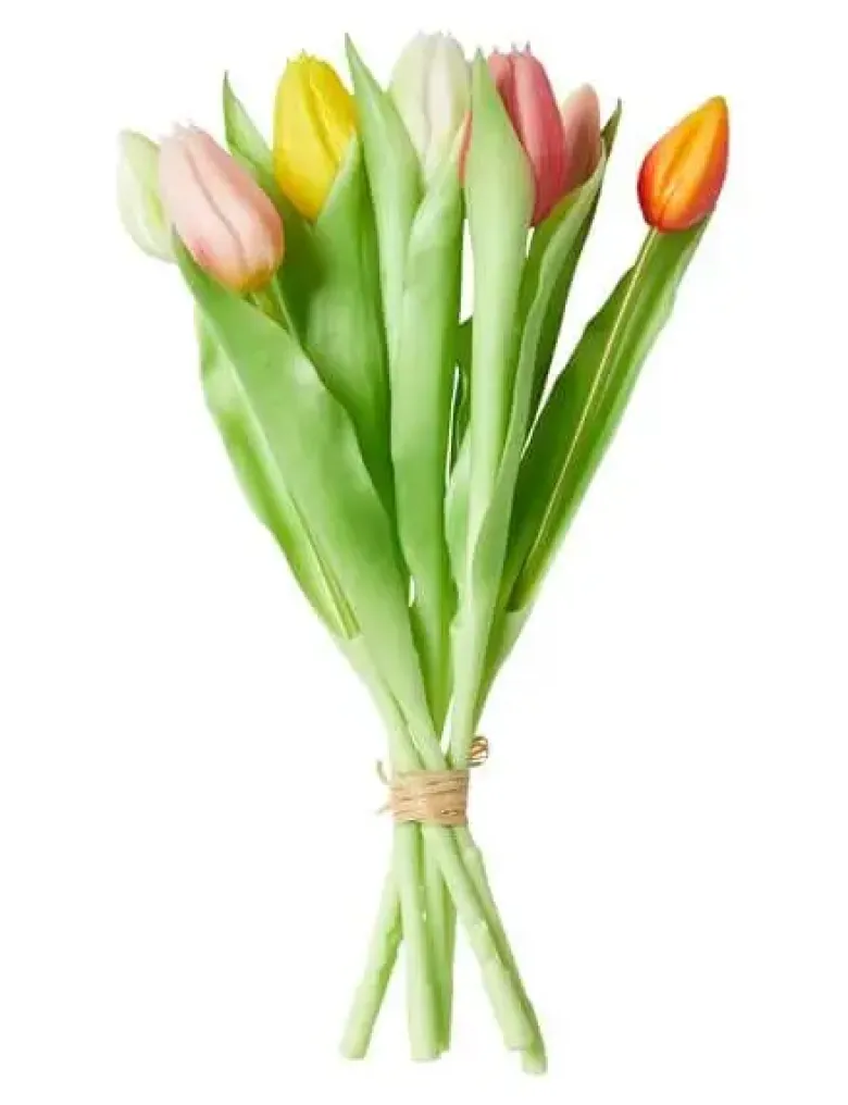 Da'core Tulipaner 7 stk. Multifarvet