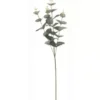 Eucalyptus gren med 4 grene 65 cm