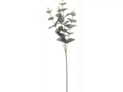 Eucalyptus gren med 4 grene 65 cm