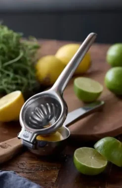 Holm Citruspresser
