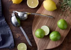 Holm Citruspresser