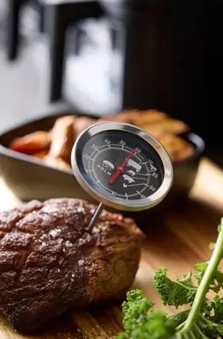 Holm Stegetermometer