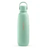 Sodastream Fizz&Go Stainless Steel flaske 0,9L Mint