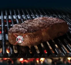 Steak Champ Thermometer med 3-farvet LED lys